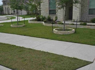 Nikolette B.'s lawn service service result
