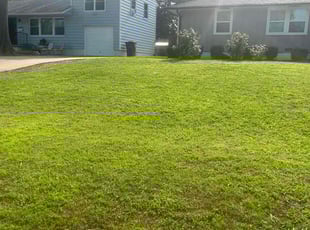 Vonetta W.'s turf maintenance service result