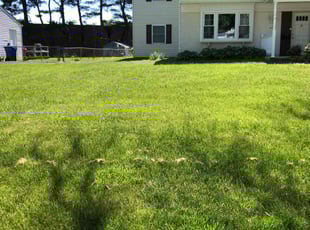 Melanie M.'s grass maintenance service result