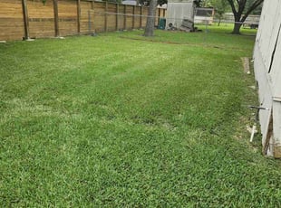 Evan D.'s turf care service result