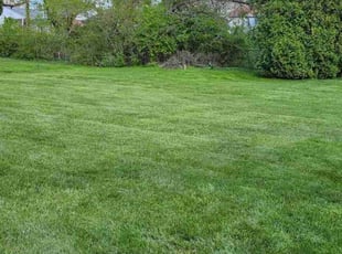 Kent T.'s lawn service service result