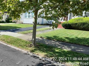 Martha S.'s landscape maintenance service result