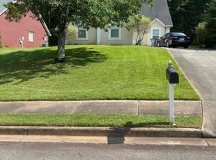 Melissa I.'s lawn maintenance service result