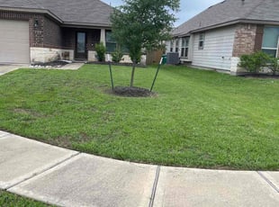 Shazeen F.'s lawn care service result