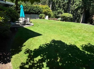 Terry A.'s lawn care services service result