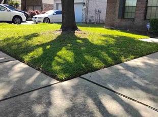 Scott J.'s lawn maintenance service result