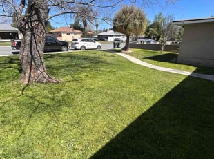 Kassandra C.'s lawn care service result
