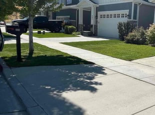 Jesus R.'s grass maintenance service result