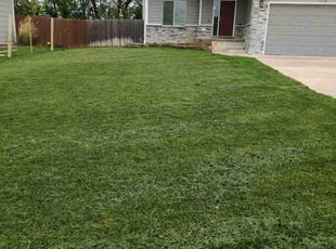 Philip K.'s turf maintenance service result