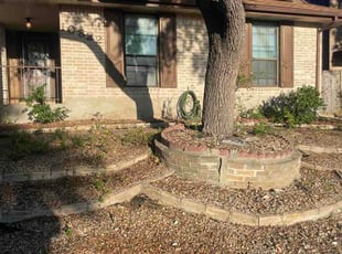 Peter T.'s Leaf Removal service result