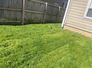Andrew B.'s lawn service service result
