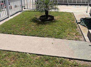 Zee D.'s lawn care service result