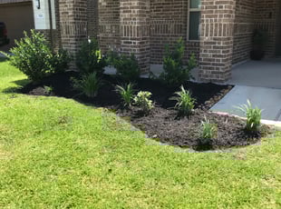 Hessah S.'s Mulching service result