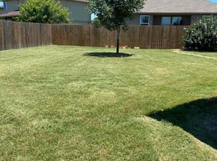 Moises V.'s lawn maintenance service result