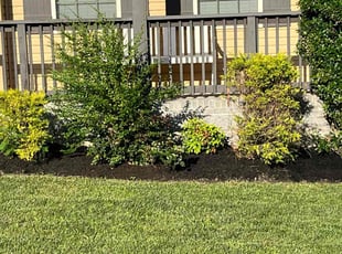 Ray E.'s Landscaping service result