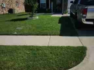 Miranda P.'s lawn service service result