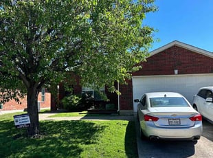 Roseline P.'s lawn maintenance service result