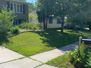 Mary R.'s lawn care services service result