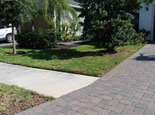 Lawanda L.'s lawn service service result