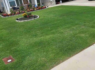 Melissa V.'s lawn care services service result