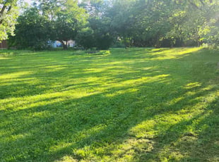 Christy C.'s Bush Trimming service result