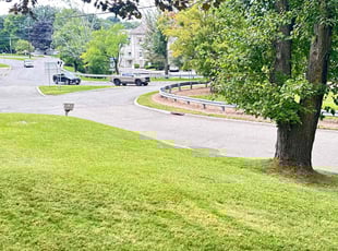 Lillian U.'s lawn care services service result