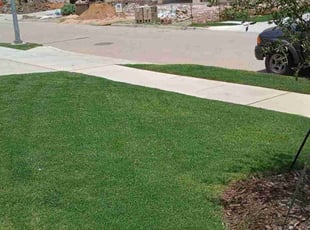 Richard C.'s lawn service service result