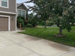 Dillon G.'s yard work service result