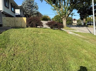 Seth N.'s Long Grass Cleanup service result