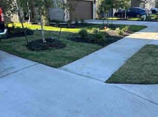 Eileen W.'s lawn service service result
