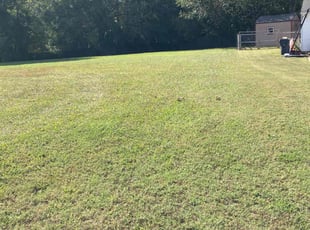Deidre W.'s grass maintenance service result