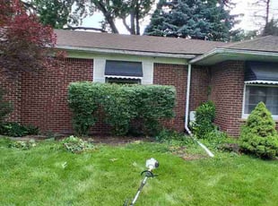 Marilyn M.'s Bush Trimming service result