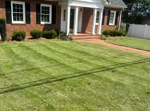 Ted B.'s turf care service result
