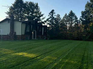 Grace S.'s lawn care service result