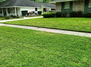 Theresa H.'s grass cutting service result