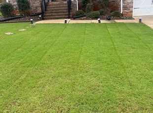 Aaron G.'s lawn care services service result
