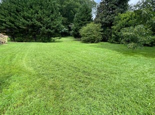 Jordan G.'s turf care service result