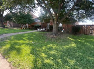 Brian J.'s Bush Trimming service result