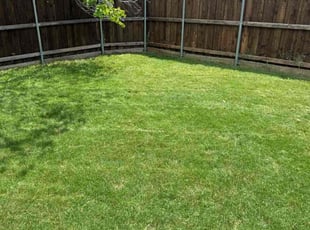 Taylor C.'s grass cutting service result