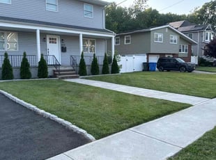 Abay Z.'s grass cutting service result