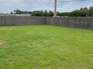 Rebecca B.'s lawn care service result