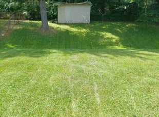 Byron E.'s lawn service service result