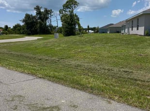Drew I.'s lawn service service result