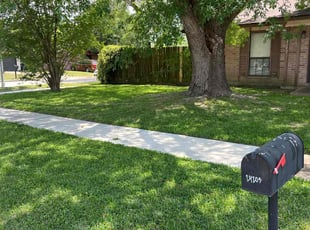 Anne P.'s turf maintenance service result