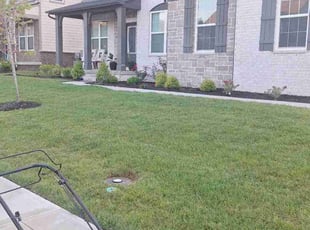 Richard B.'s lawn service service result