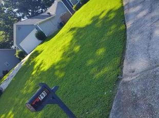 Larry J.'s lawn care services service result