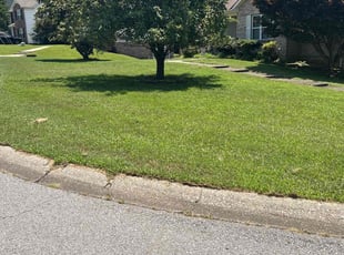 Crystal G.'s turf maintenance service result