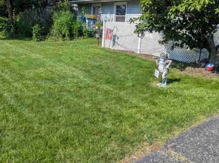 Jeffrey M.'s lawn care services service result