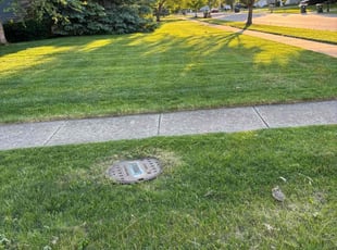 Bruce H.'s lawn care services service result