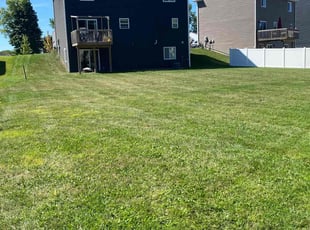 Ella K.'s grass maintenance service result